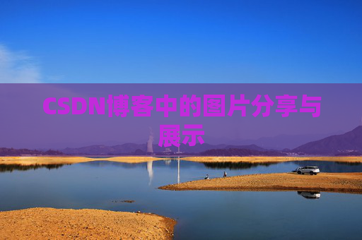 CSDN博客中的图片分享与展示
